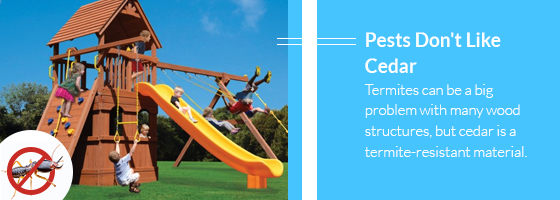 Why Cedar Is the Best Wood for Your Playset