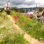 Five Interesting Playground Sets Across the U.S.