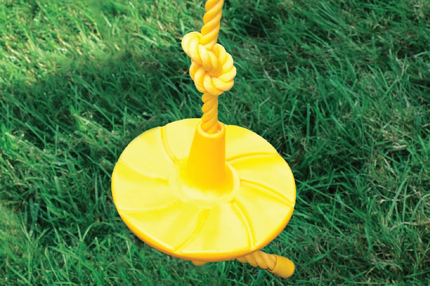 Swing Disc with Rope